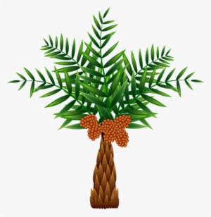 The Oil Palm, Which Was Originally Native To Africa, - Palm Oil Tree Clip Art #1574562