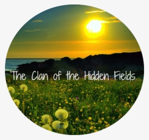 Dandelion Field With Grass At Sunset Preview - Zacarias Ferreira / Mi Dulzura #1574915