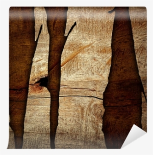 Vinyl Wall Mural #1575502