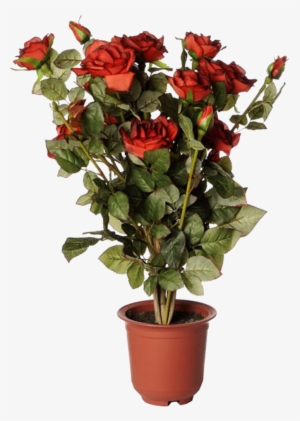 Photo Artificial Red Rose 01 - Photobucket #1577870