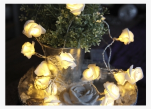 Light Chain Rosebush - Star 726-29 2.1 M Rose Basket Battery Operated 15 Warm #1578357