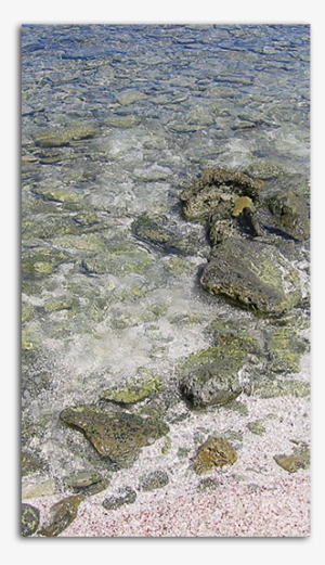 Shallow Shore Big - Painting #1578471