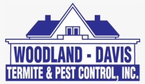 How To Take Care Of Trees & Rose Bush Plants This Spring - Señal De No Estacionarse #1578673