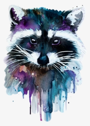Report Abuse - Watercolour Raccoon #1580197