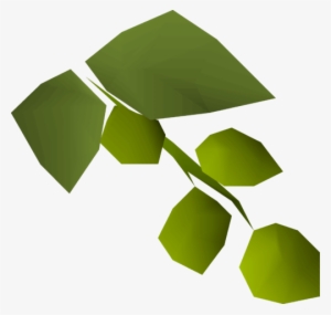 Asgarnian Hops Detail - Cabbage #1580525