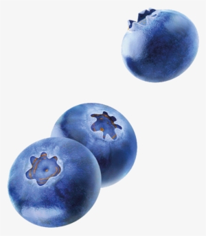 Patisserie And Cafè - Fallende Blaubeeren Rechteckiger Aufkleber #1580717