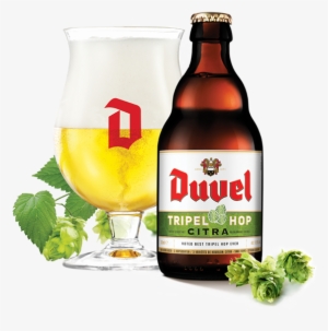 Duvel Tripel Hop Citra #1580969