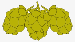 Hops Png #1581030