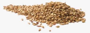 The Combination Of Noble Hops, Speciality Malts And - Malt Png #1581332
