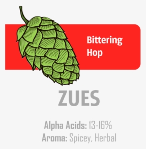 2017 Hops Are Here - Derbi Senda X Race Tuning #1581757