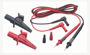 Vector Stock Test Walligator - Walygator Parc #1582074