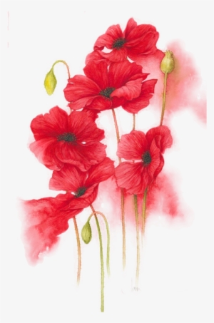Red Flowers Png #1582622 Red Flowers Png #1582622