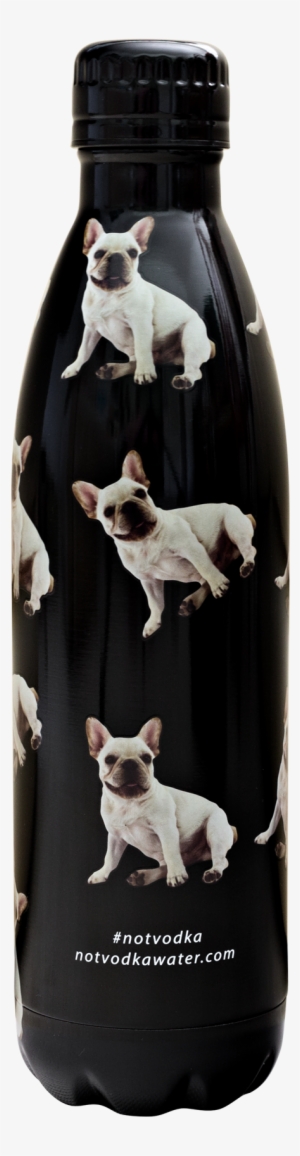 Not Vodka French Bulldog Puppies 25oz. Water Bottle #1583398