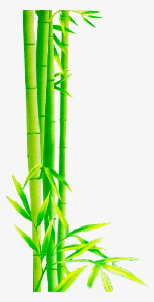 Bamboo Border Png Download - Portable Network Graphics #1583425