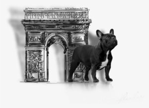 Success Is Not A Matter Of Coincidence - Monochrome #1583530