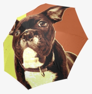 French Bulldog Foldable Umbrella - Journal By Irreverent Journals 9781542555234 (paperback) #1583825