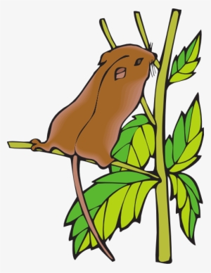 Stretching Chipmunk Svg Clip Arts 462 X 599 Px #1584152