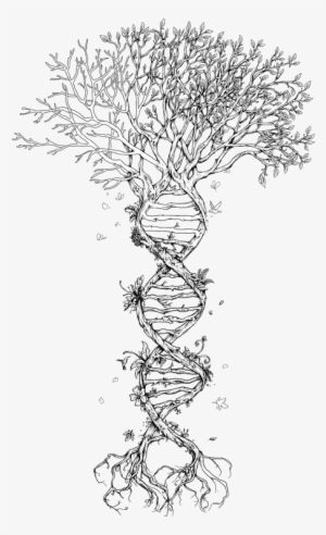 Tree Of Life @lindsay Poland This Is Soooo Me #1584279