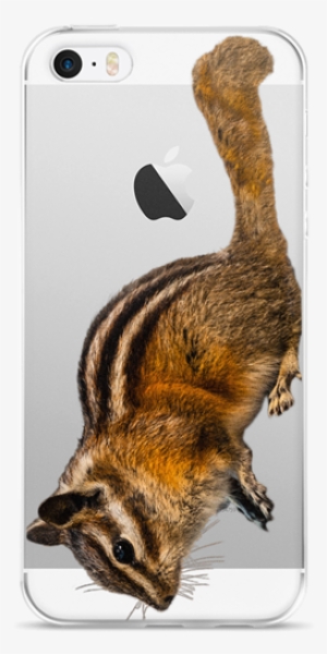 A Chipmunk Poses Near Mount Rainier In Washington State - Washington #1584443