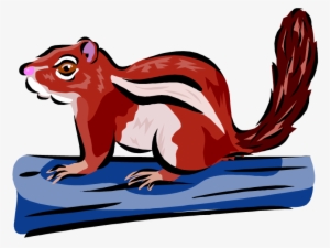 Chipmunk Clipart Small Squirrel - Squirrel #1584484