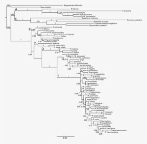Back To “fig3 ” - Diagram #1584506
