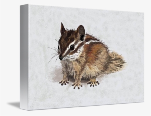 Charlie Chipmunk By Carole Boyd Clip Art Free - Drawing #1584523