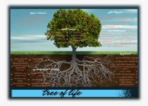 Tree Of Life #1584796