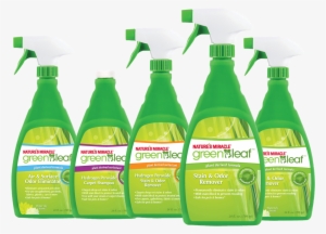 Green - Eco Friendly Cleaning Products Png #1584821