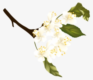 Branch Clipart Spring - Portable Network Graphics #1585158