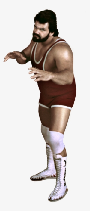 Career Highlights - Wwe Steve Williams Png #1587937