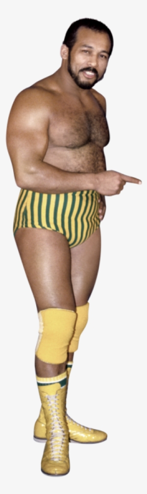 Johnny Rodz - Wwe Hall Of Fame Johnny Rodz #1587959