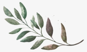 Leaf Hor - Illustration #1588713