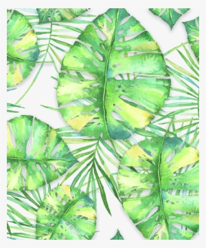 Click And Drag To Re-position The Image, If Desired - Swiss Cheese Plant #1589113