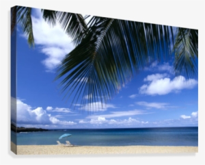 Hawaii, Lanai, Hulopoe Beach, Palm Fronds In Foreground, - Lanai #1589160 Hawaii, Lanai, Hulopoe Beach, Palm Fronds In Foreground, - Lanai #1589160
