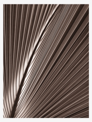 C Webster And Sons Trade And Wholesale Airdrie Glass - Plot #1589208