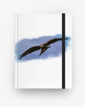 Caderno Watercolor Predator De Felipe Gomesna - Golden Eagle #1589447