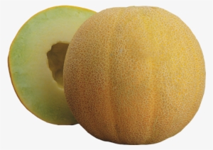 Galia - Turlock Fruit Co #1589520