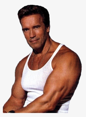 Arnold Schwarzenegger - Arnold Schwarzenegger Body 1991 #1589982
