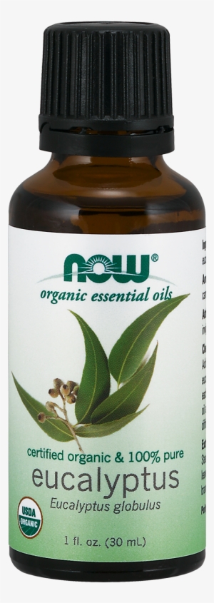 Eucalyptus Globulus Oil, Organic - Now Essential Oils - Free ...