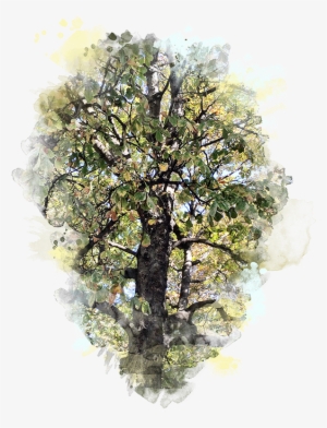 Forte Designs Paris Tree - Larch #1590044