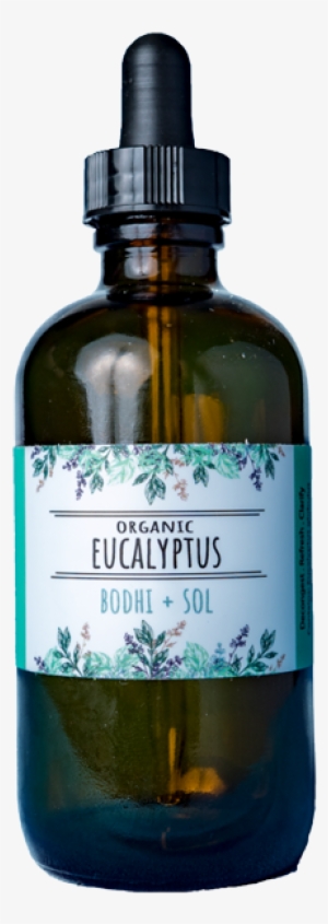 Organic Eucalyptus Essential Oil - Prieto Picudo #1590063