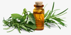 Essential Oils Png #1590241