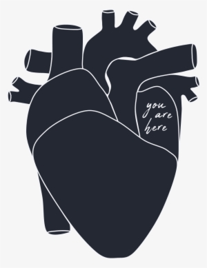 Logo1- White Outline Navy Fill No Background White #1591896