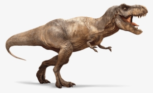 More Like This Guy, In Other Words - T Rex #1593203