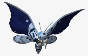 Mothra - Twitter #1593289