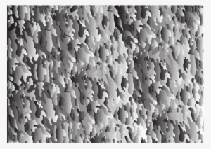 Medium Image - Monochrome #1593971