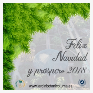 Felicitation Botanico Navidad 2017 - Christmas Day #1595380