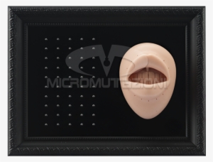 Tattooable Lip Body Parts Display For Internal Micro - Jewellery #1595846