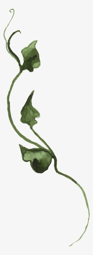 Vine Transparent Decorative - Happy Birthday With Butterflies And Pink Flowers Card #1596760