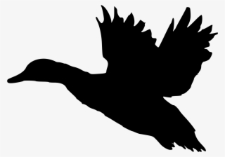 File - Duck Sotka1 - Svg - Duck Flying Silhouette #1597830